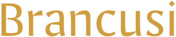 Brancusi-Logo-300dpi-removebg-preview